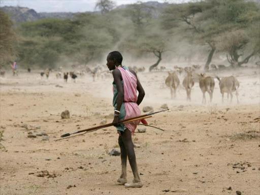 Act now to prevent hunger, agencies say after depressed rains forecast