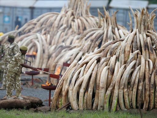 Suspected poachers killed, giraffe meat recovered in Wajir