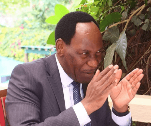 Meg Whitman is Kenya's best brand ambassador – Ezekiel Mutua