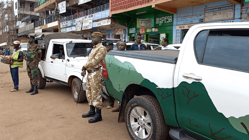 Establish conservancies to reduce human-wildlife conflicts, counties told