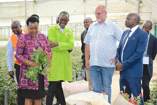 Flower farmers up in arms over new water tariffs