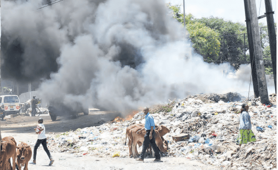 City Hall links growing drug resistance to heavy pollution