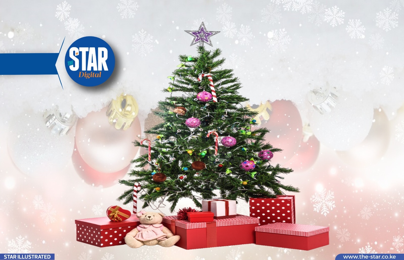 African countries that don't recognise Christmas