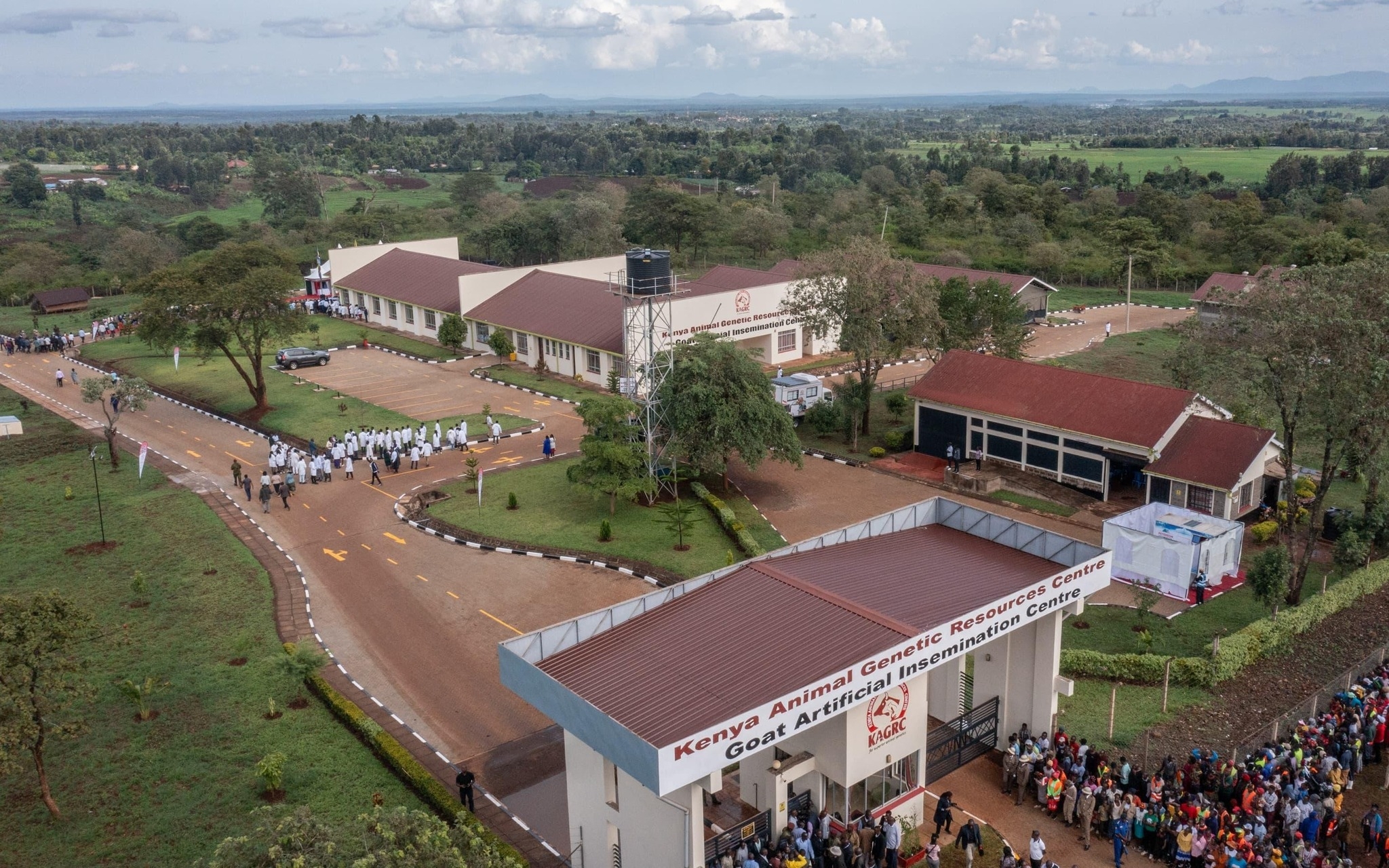 Ruto launches goat Artificial Insemination center in Kirinyaga
