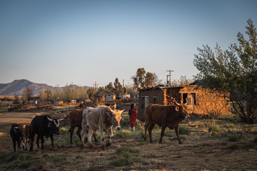 (Hello Africa) Steep U.S. tariff hits Lesotho's textile industry