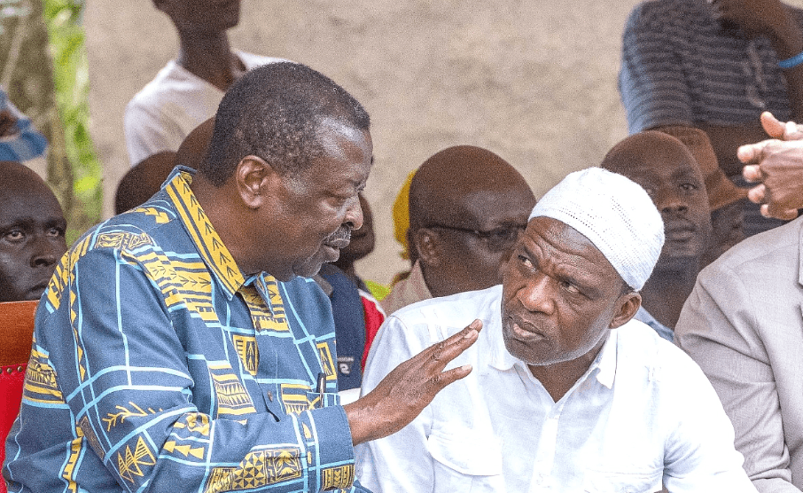 I will complete Malulu’s projects, promises Malava UDA candidate