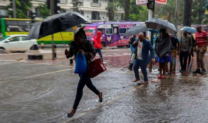 Expect heavy rainfall in most parts of Kenya - Kenya Met