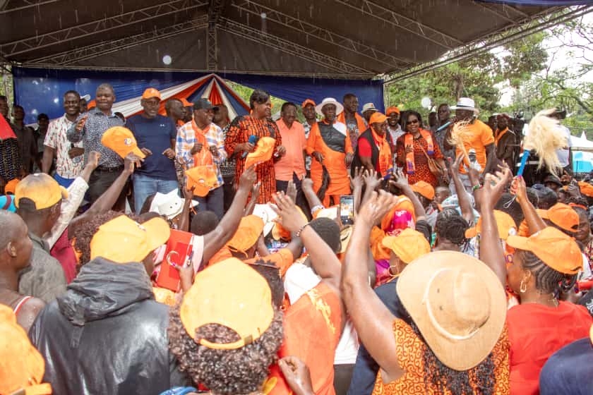 Nyanza ODM delegates endorse Oburu as party leader