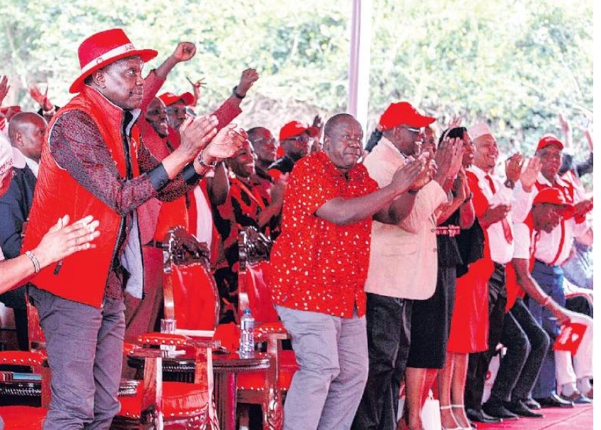 ABDULLAHI: Political parties maturing and progressing, not failing