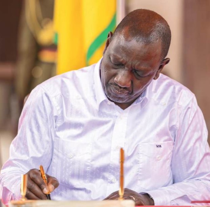 NGUGI: Cybercrime law must safeguard not stifle free speech