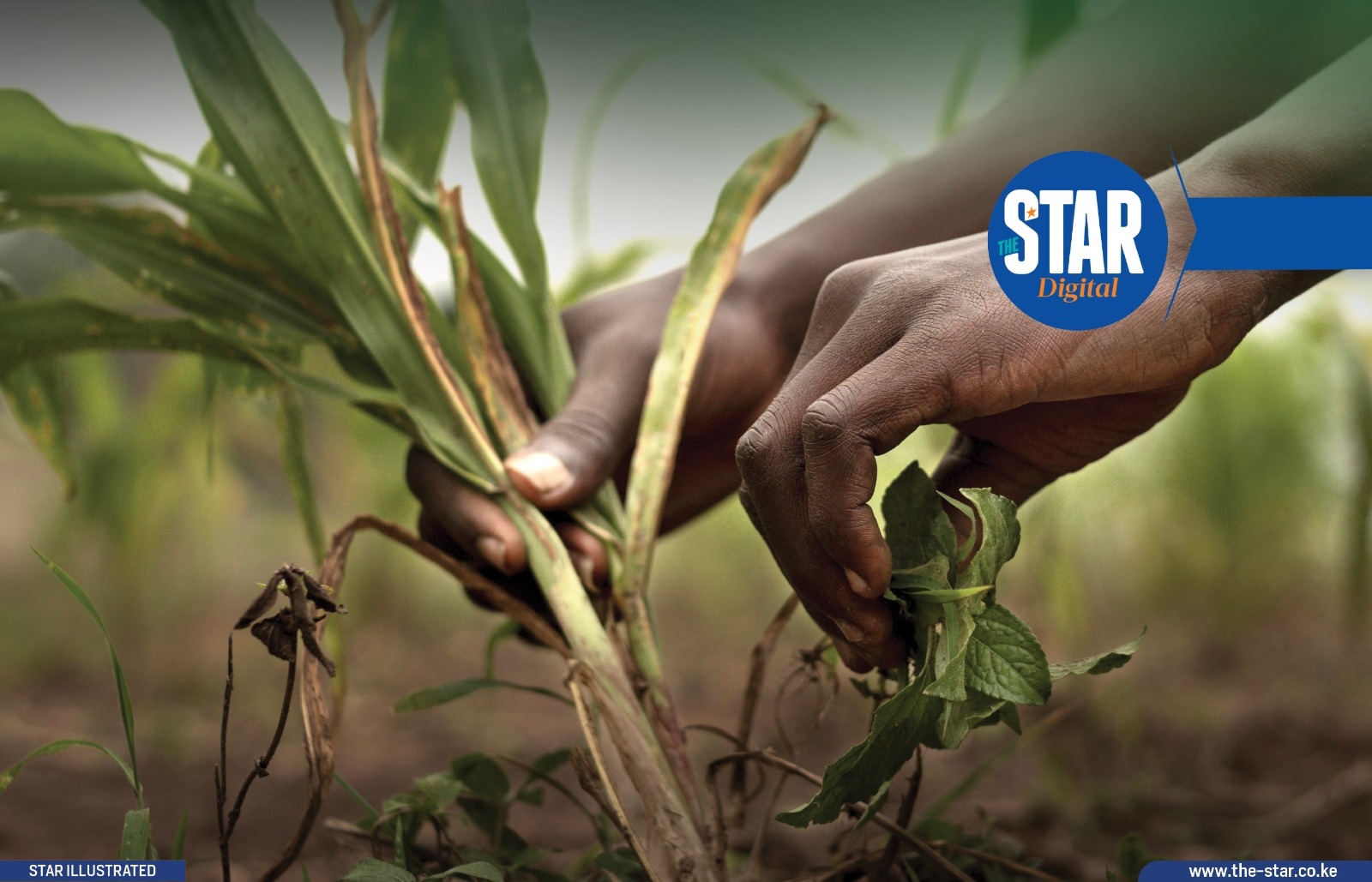 Top performing sectors in Nakuru county