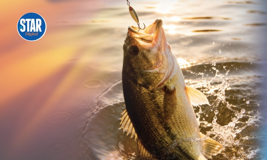 Top performing sectors in Uasin Gishu county