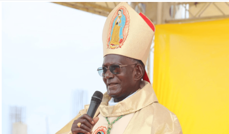 How Sulumeti handled delicate Bomas discussion on power sharing