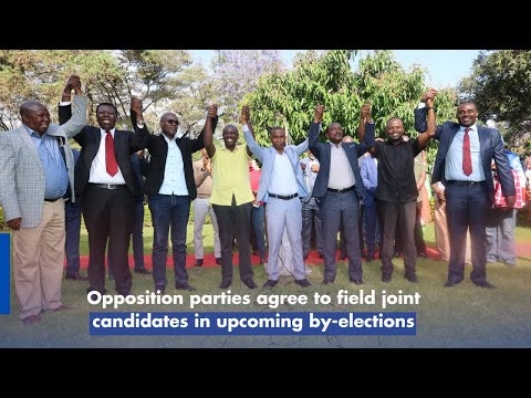 Opposition parties agree to field joint candidates in upcoming by-elections