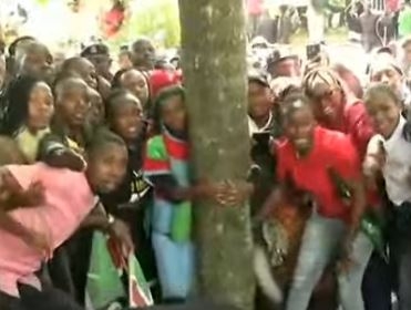 Hurrah! Truphena finishes 72-hr tree-hugging challenge