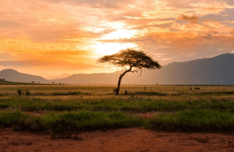 Met: Most parts of Kenya to remain sunny, dry