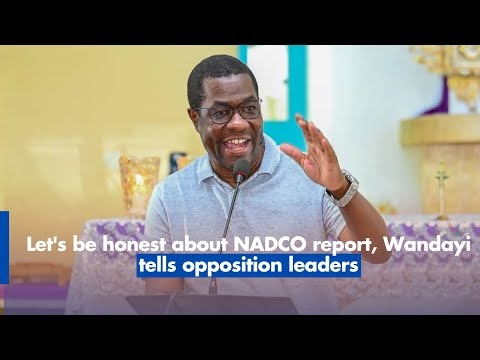 Let's be honest about NADCO report, Wandayi tells opposition leaders